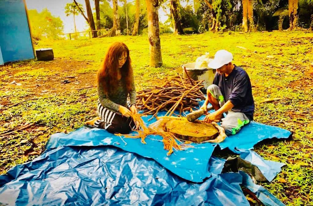 “You already know everything, ayahuasca simply makes you aware of it!”