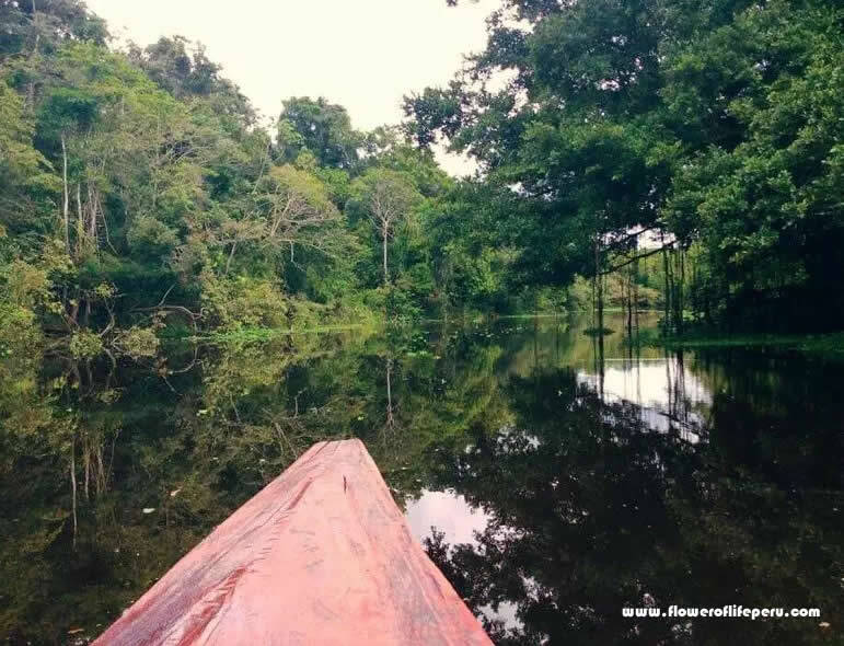 Gallery - Ayahuasca Spiritual Retreat Peru - Flower of Life