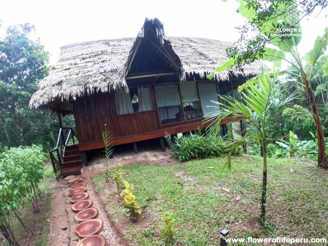 Gallery - Ayahuasca Spiritual Retreat Peru - Flower of Life