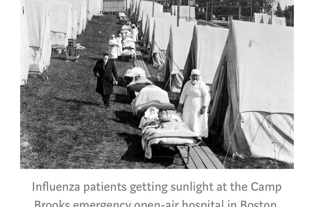 Coronavirus and the Sun: a Lesson from the 1918 Influenza Pandemic