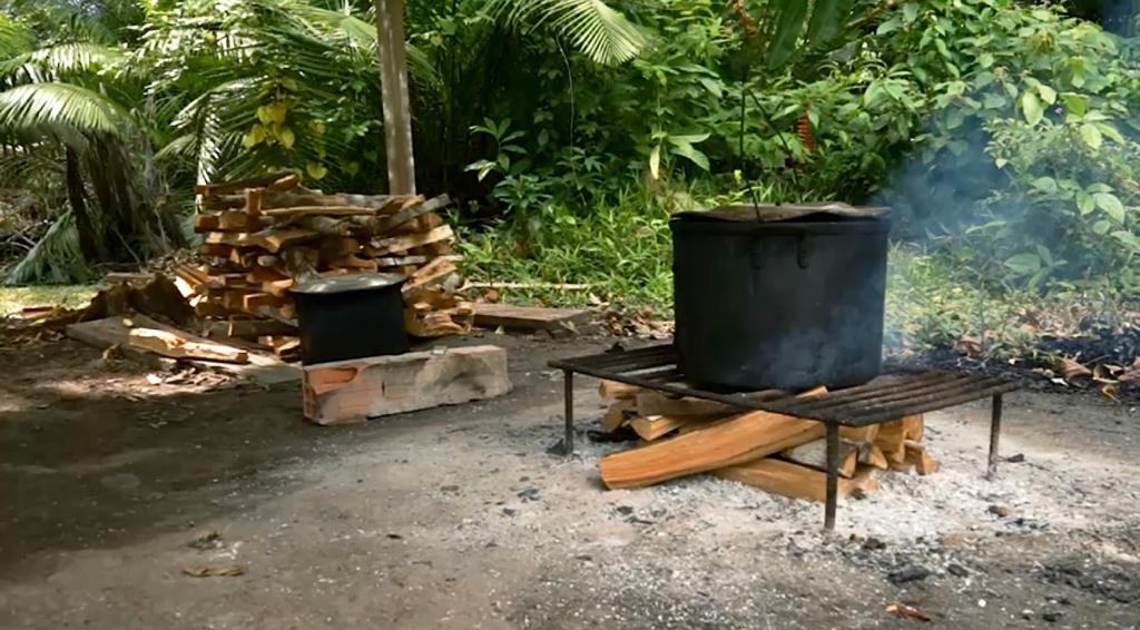 Ayahuasca: Exploring the Enigmatic Brew and its Benefits in the Amazonian Peruvian Jungle