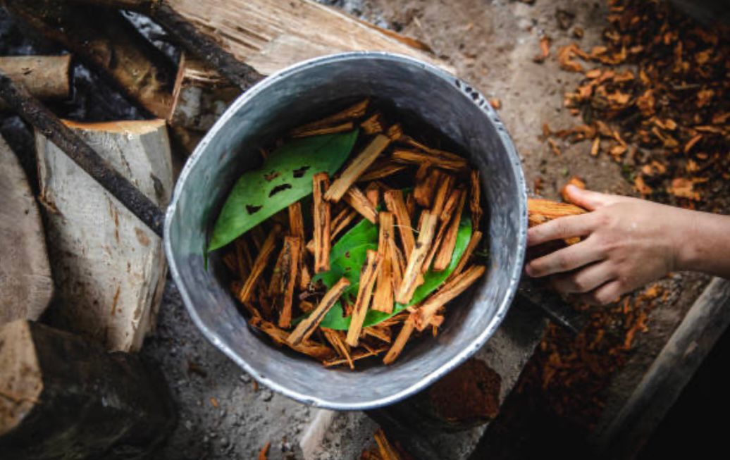 Trauma release with Ayahuasca Therapies in Peru