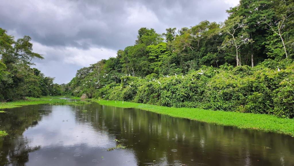 The benefits of participating in a Ayahuasca Retreat in Peru