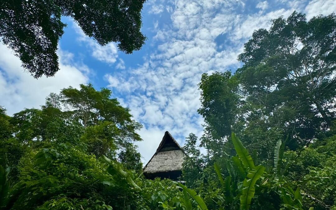 Exploring Ayahuasca and Shamanic Practices in the Amazonian Peruvian Jungle